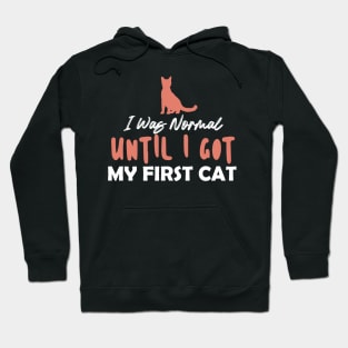 I Was Normal Until I Got My First Cat Hoodie